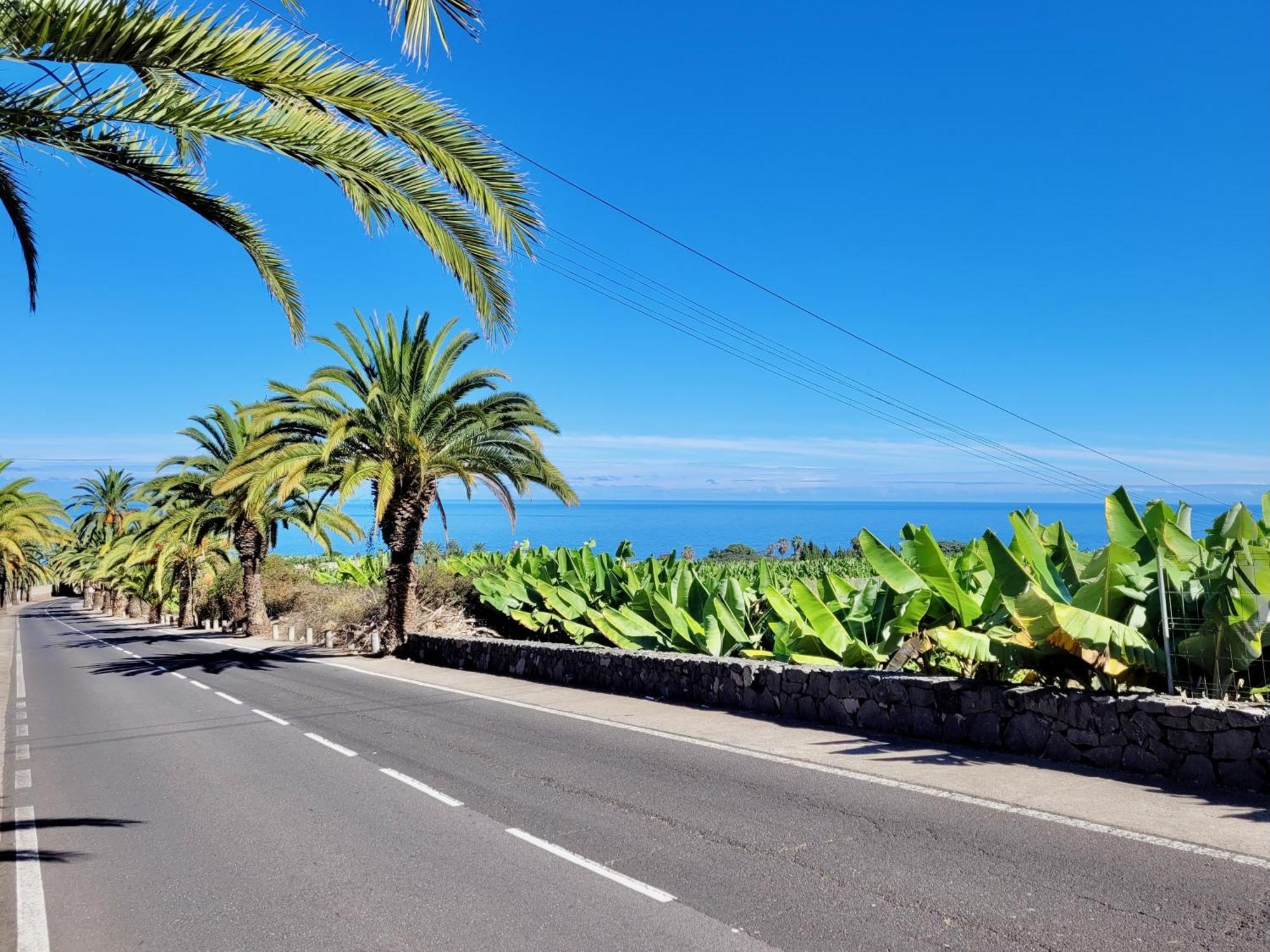 Casa Rural - Playa. Situada En Un Entorno Natural. La Orotava Kültér fotó